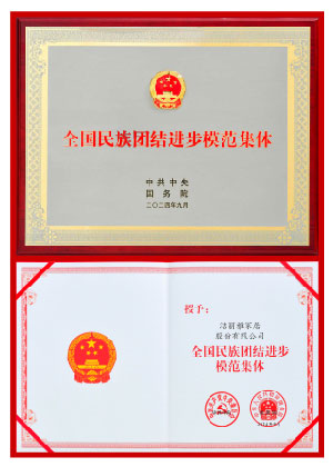 民族团结进步模范集体