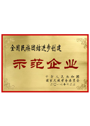 民族团结示范企业