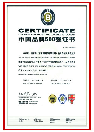 中国500最具价值品牌
