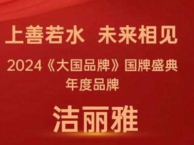喜报洁丽雅荣获《大国品牌》国牌盛典年度品牌